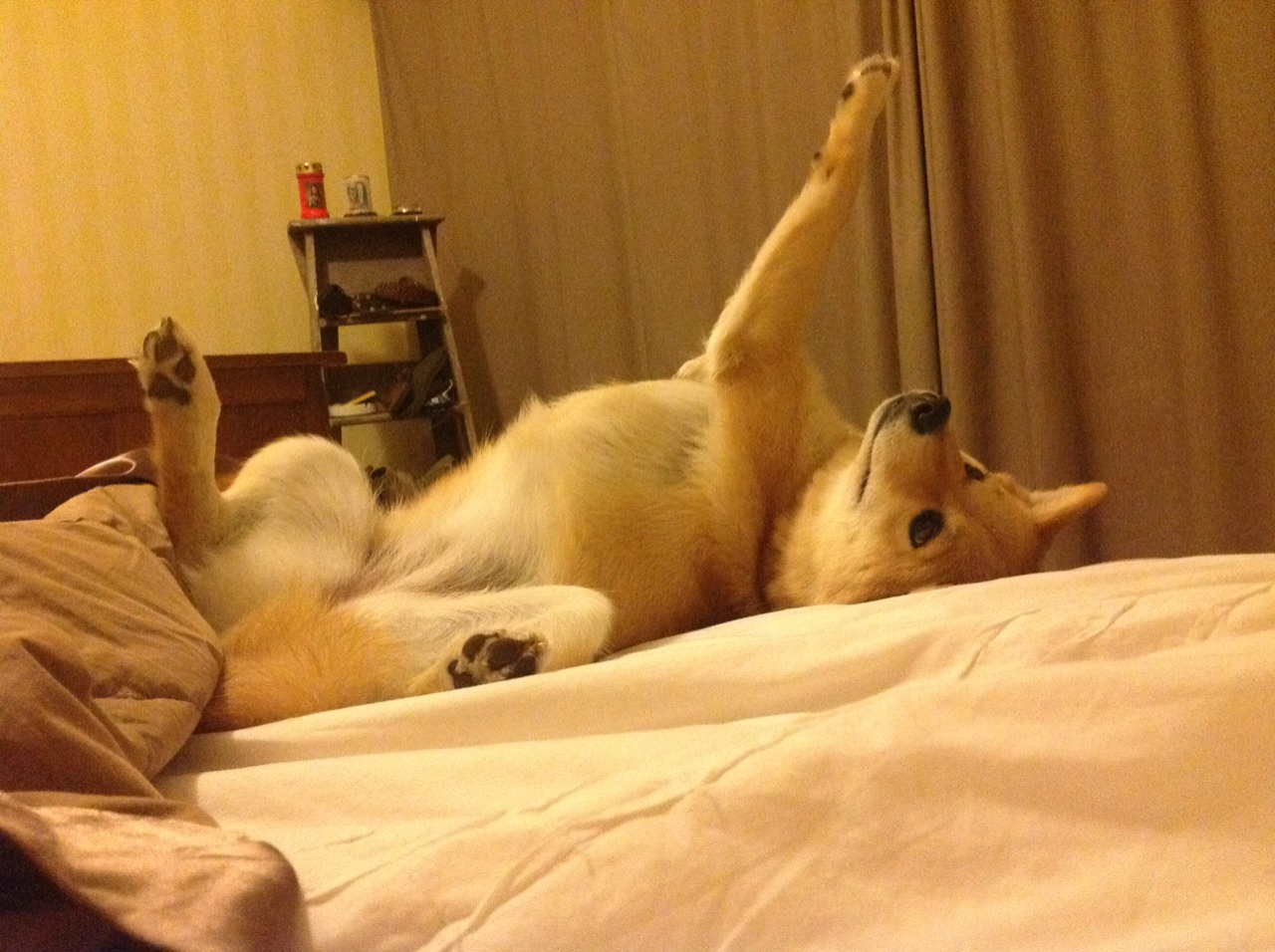 京华对决,胜利者的凌晨,爱德华兹里程碑夜见证北京队加时险胜勇士