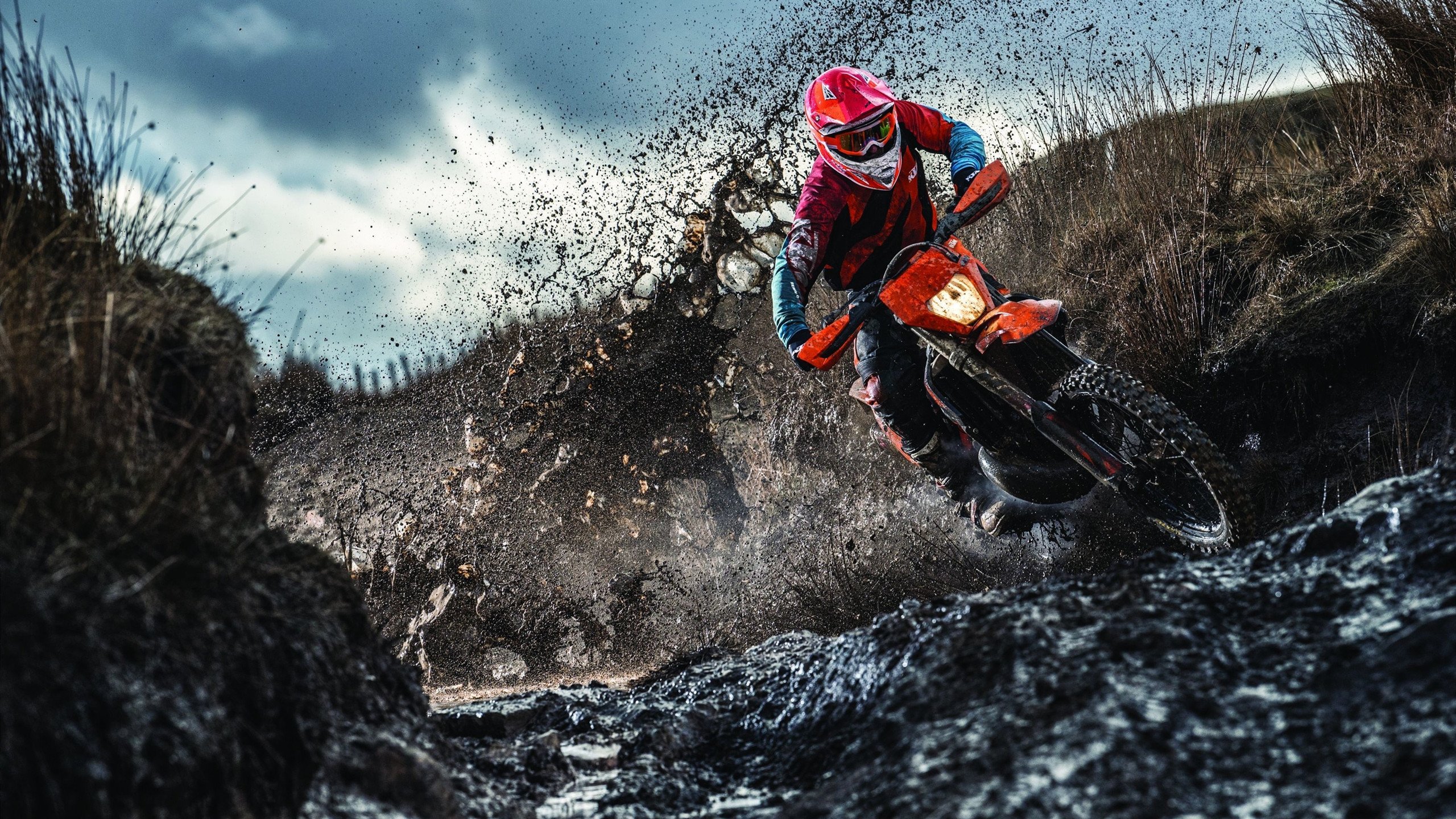 两种征服,一种孤独