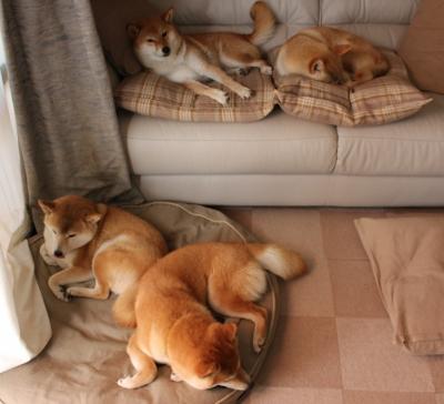 雷火电竞app-斗牛士之舞，迪马利亚一剑封喉，阿森纳闪电战击溃毕尔巴鄂