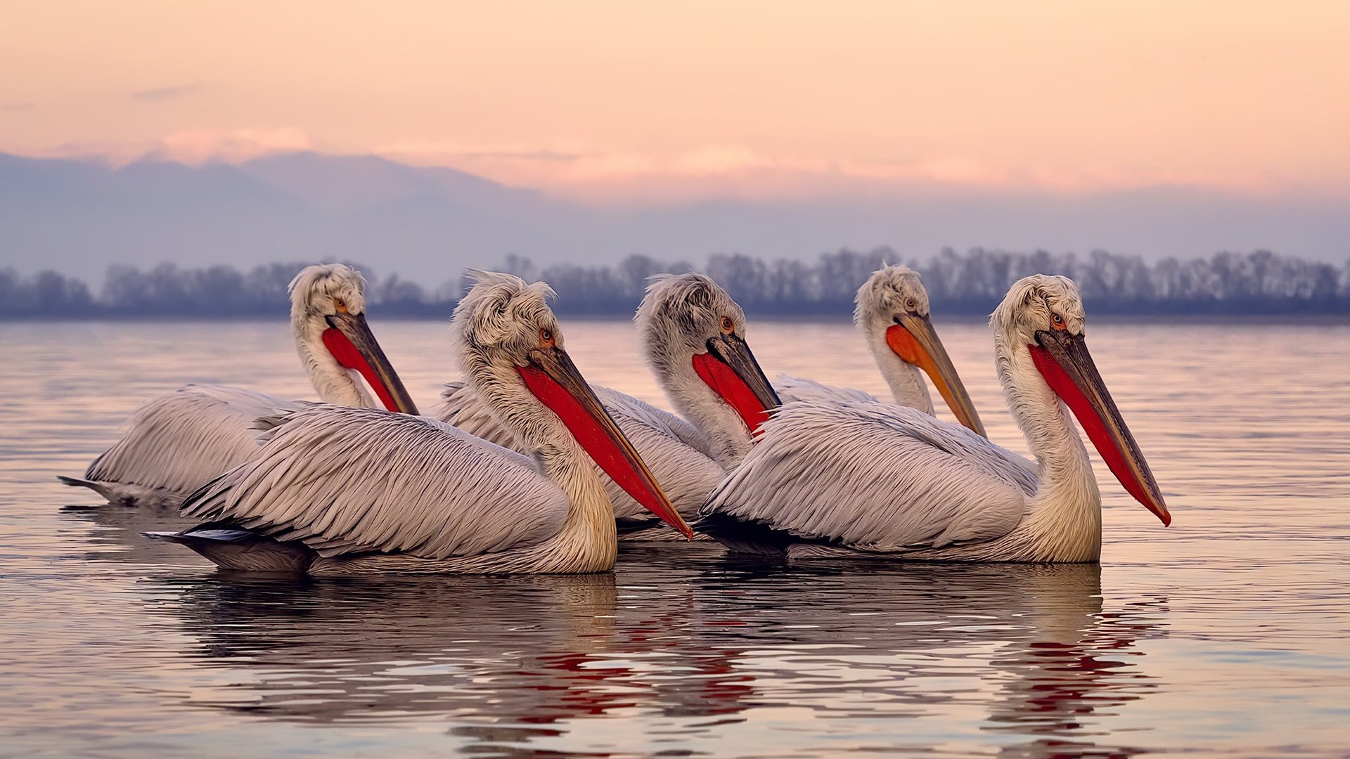 致命匕首，拉什福德替补登场献绝杀，哥伦比亚险胜克罗地亚