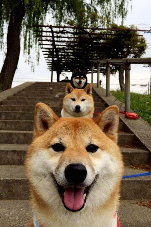 平行时空的封神之战，范弗利特唯一性表演击溃国王