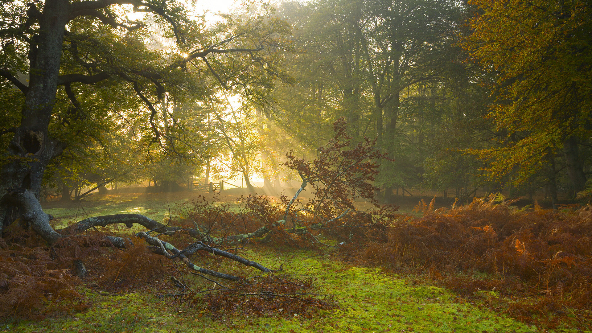 跨越时空的刺杀，迪马利亚如何在一场伦敦德比中成为幽灵主角