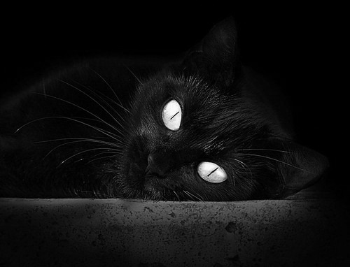 西决生死战之夜，莱万的冠军级表现