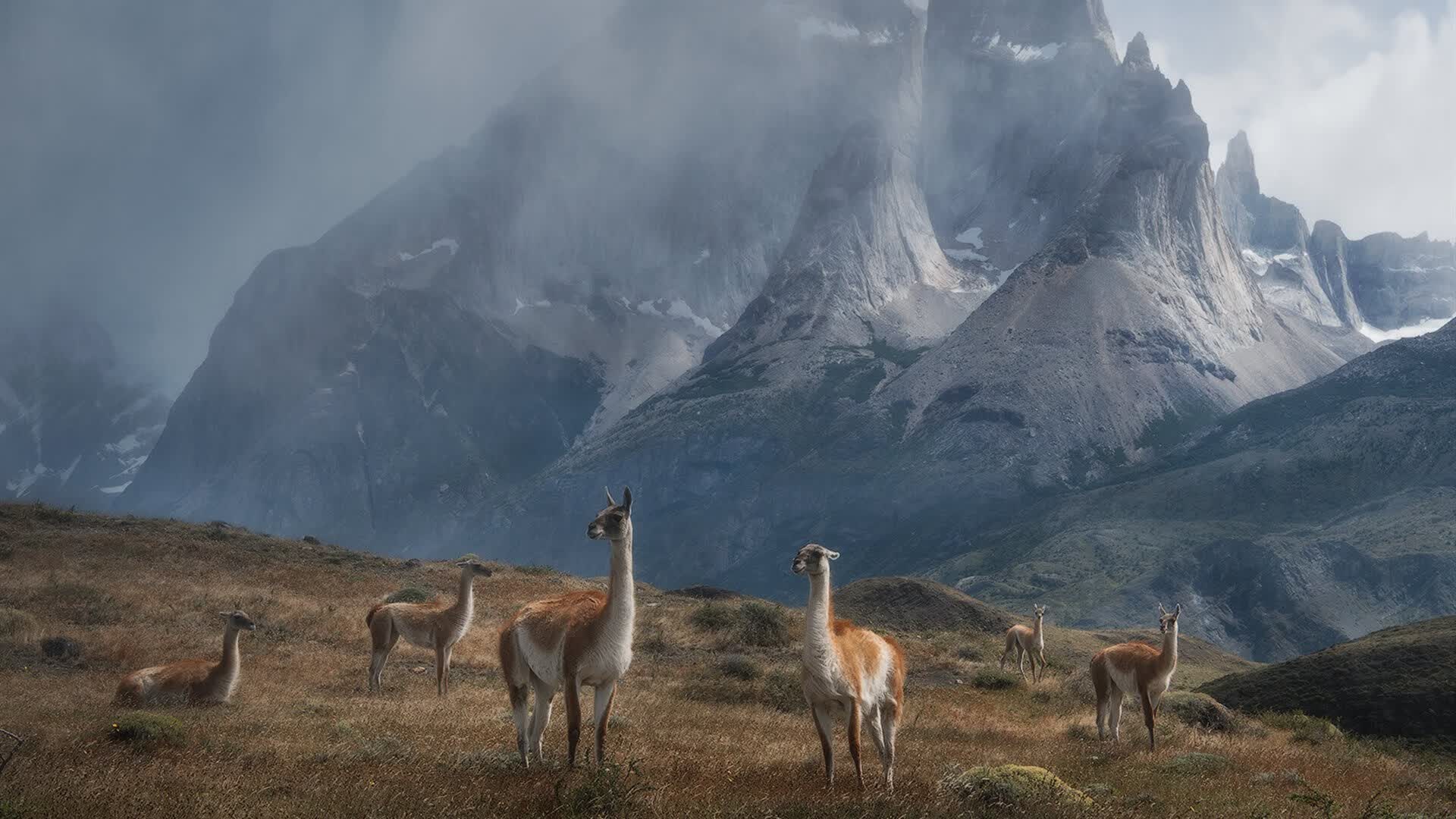 中亚旋风席卷2026,乌兹别克斯坦的黑马神话与德布劳内的致命一击