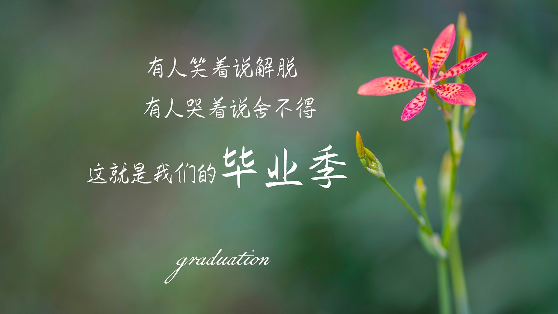 当智利坚盾撞碎美国梦,2026世界杯F组那场属于C罗的唯一黄昏