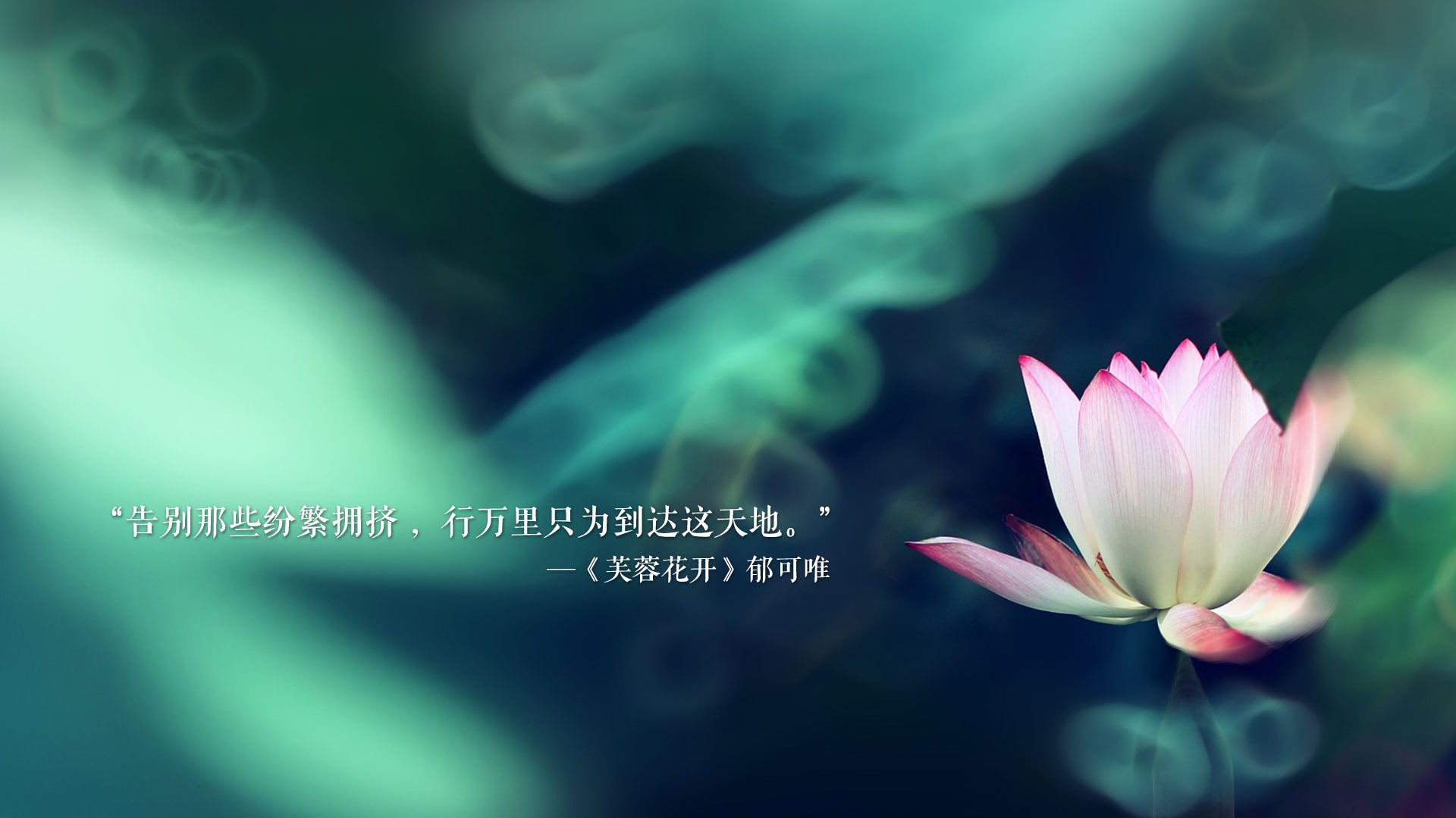 刹那即永恒,2026世界杯A组,智利绝杀尼日利亚,久保建英完成致命一击