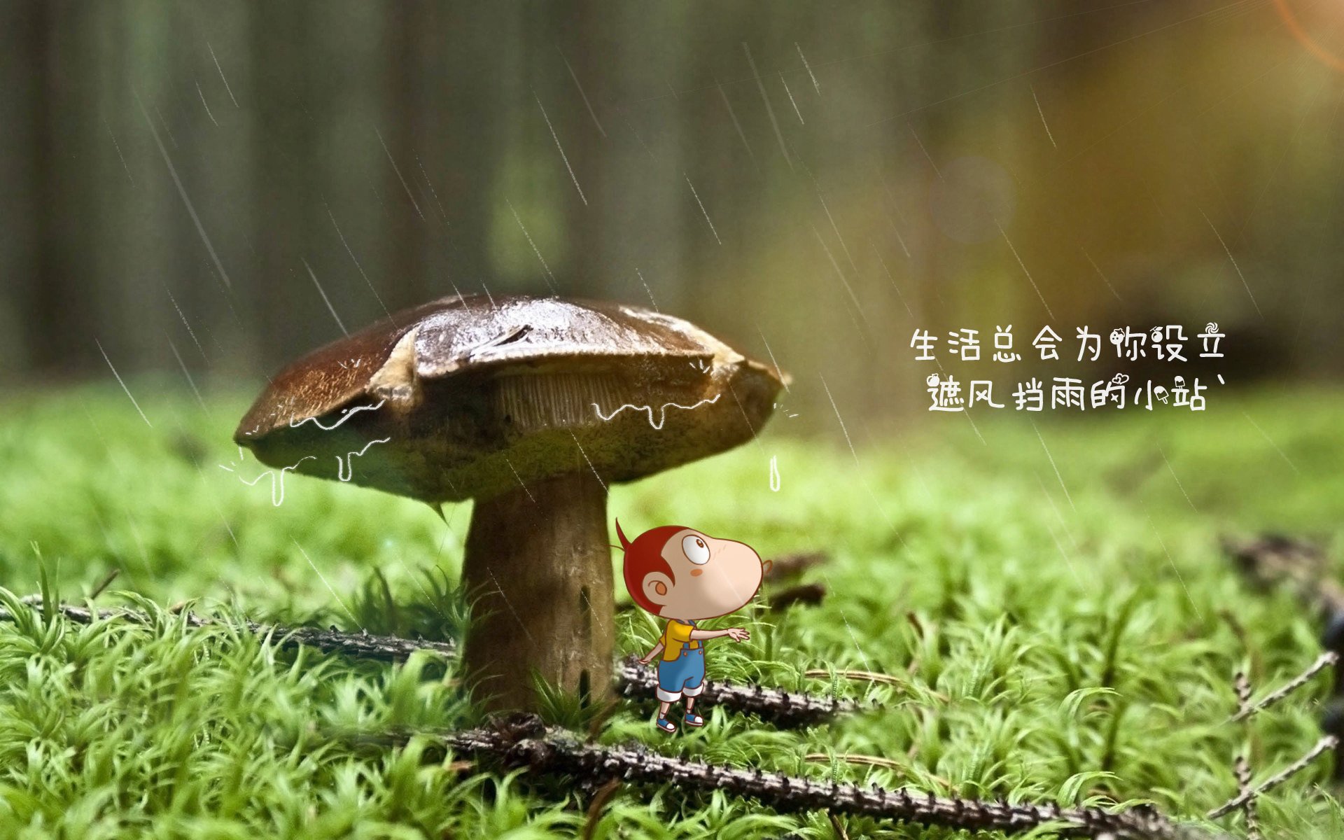 蓝桥遗梦,2026世界杯C组关键战,坎塞洛孤胆英雄力挽狂澜,奥地利绝杀罗马尼亚